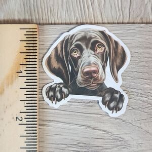 Pet Stickers 10 for $10 Dogs Puppy Cats Kitten Pets Animal Sticker